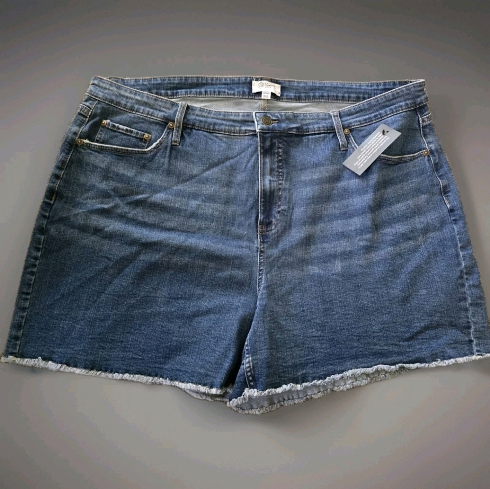 Candace Cameron Bure Petite Pacific Blue Denim Shorts Nwot  22WP